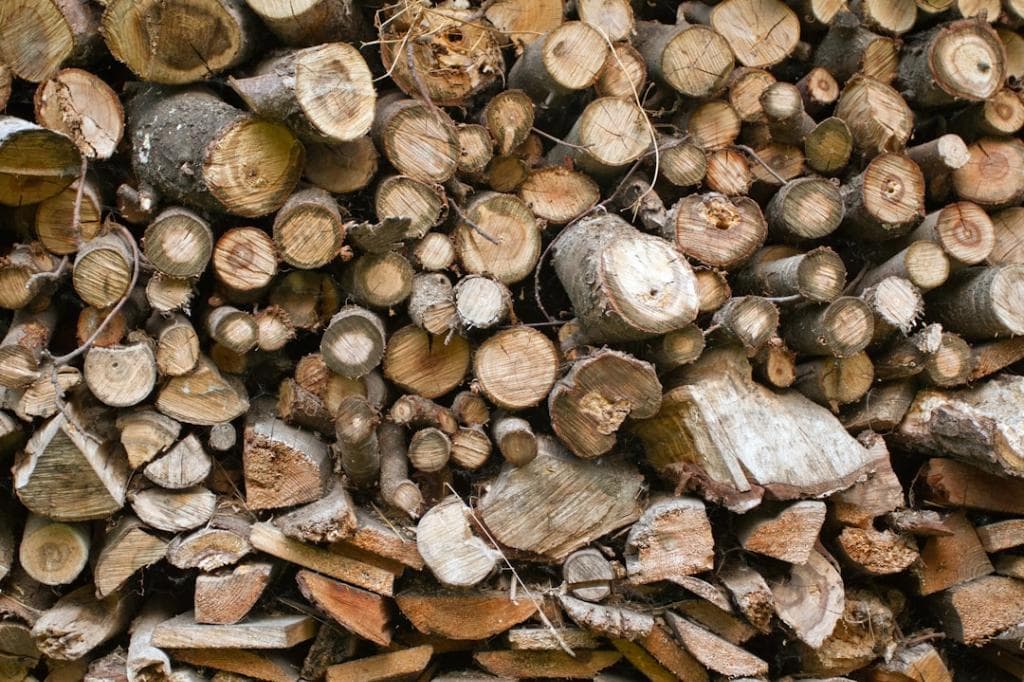 large pile of logs