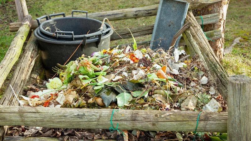 wooden compost pile filled with organic waste including leaves, food scraps, carrot, vegetables. There is also three composting buckets in the pile