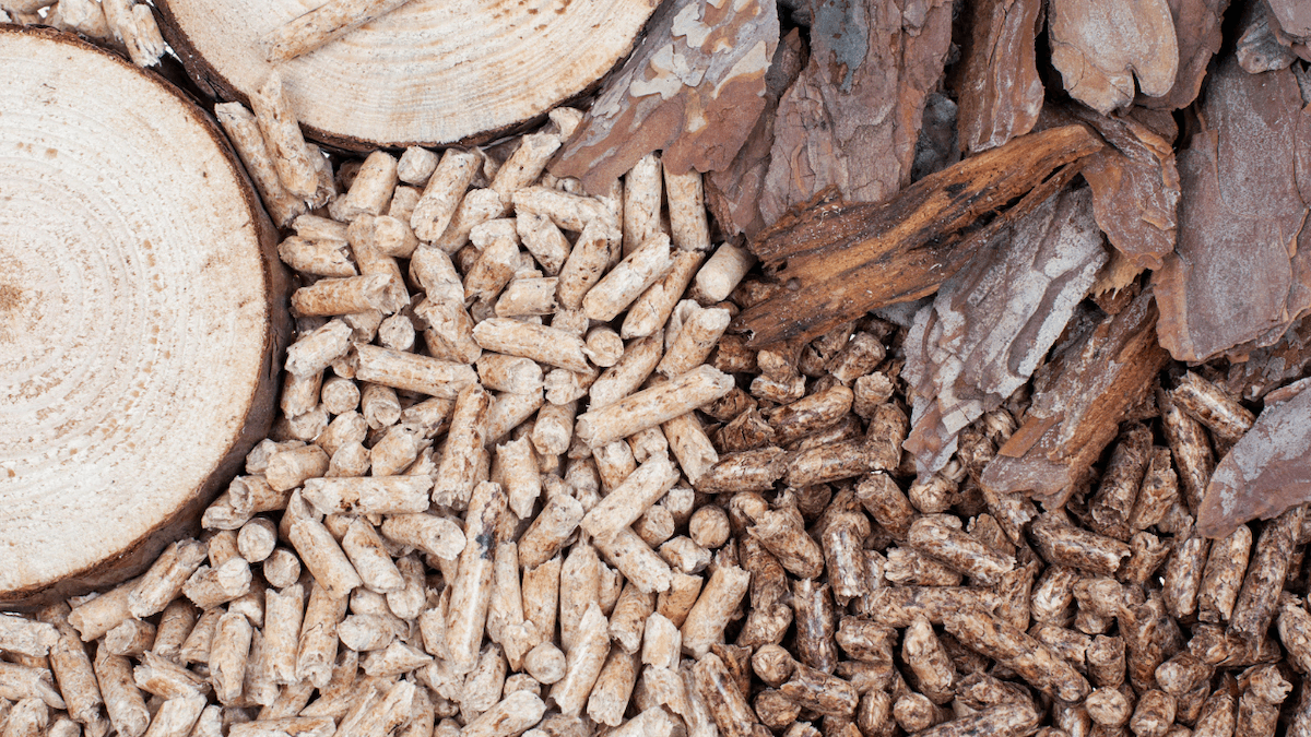 different types of wood and biomass