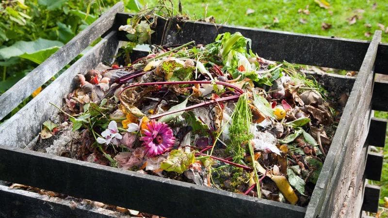 compost bin made out of wood that is filled with lots of different kinds of compost feed stocks inclusing pink flowers, leafy greens, orchids, leaves and vegetables