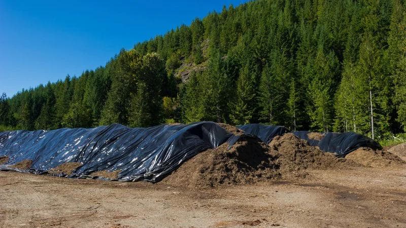 Long row of compost piles covered with black plastic tarps stretches along a hillside covered in evergreen forest