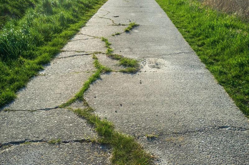 Old concrete path with cracks and overgrown with grass, used for cycling or walking. Close-up.