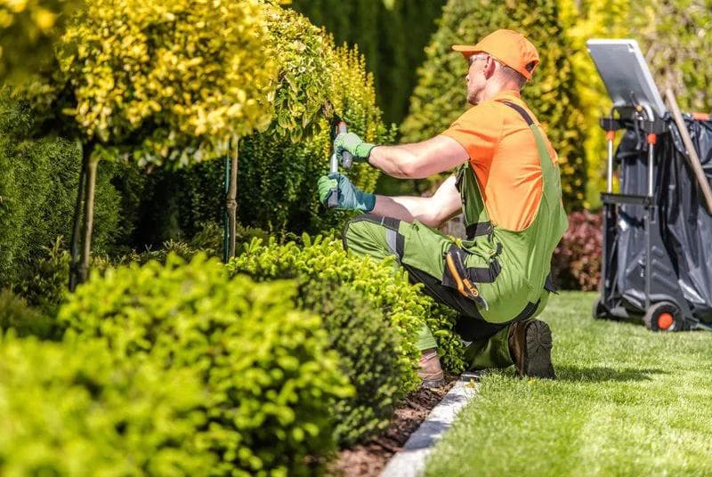 Landscaper worker in an orange hat and shirt working in a garden with compost