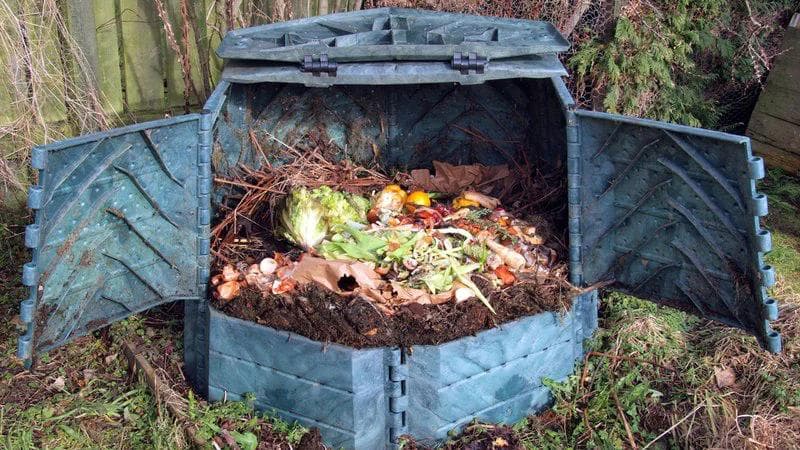 black compost bin with 3 doors opened to show some composting material and some food scraps incuding cabage, lettuce, onions, carrots and paper